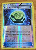 Helix Fossil Omanyte