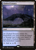 Choked Estuary
