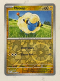 Mareep
