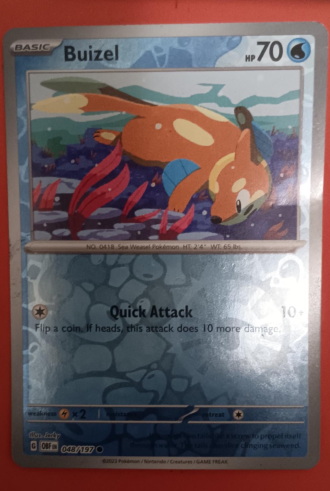Buizel