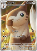 Furret - 110/100