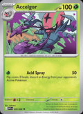 Accelgor (Poke Ball Pattern)