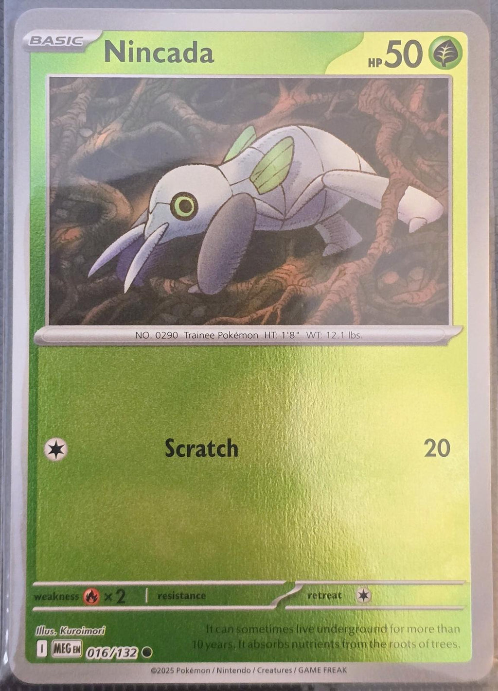 SortSwift catalog art
