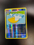 Pelipper (24)
