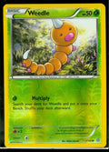 Weedle