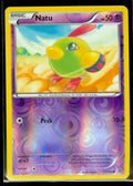 Natu (27)