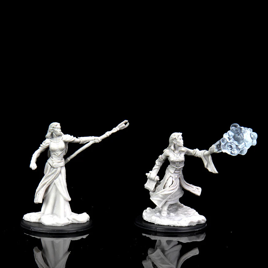 Elf Sorcerer