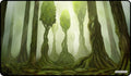 Magic Forest Stitched Playmat